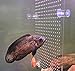 spritool ONly Board (No Clips) DIY Designed Clear Fish Tank Divider