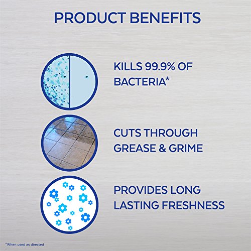 Lysol Multisurface Cleaner, Mandarin & Ginger, 48oz Pricepulse