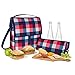PackIt Freezable Picnic Bag with Zip Closure, Buffalo Check