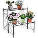 DOEWORKS 2 Tier Metal Plant Stand Storage Rack Shelf, Flower Pot Holder Display Shelf, Black