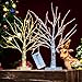 Bolylight LED Table Lamp Birch Money Tree Holder Night Light Centerpieces Great Decoration for Home/Christmas/Party/Festival/Wedding, 1.5ft Gold