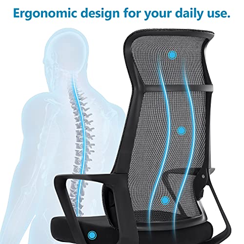 Tribesigns Ergonomic Office Chair, High Back Computer Chair with