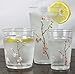 Corelle Coordinates Cherry Blossom 19-Ounce Acrylic Glass, Set of 6