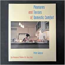 Pleasures and terrors of domestic comfort essay 03 image