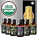 Botanic Hearth Hair Oil 0.3 fl oz