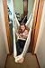 Rainy Day® Indoor Net Swing (Support Bar Sold Separately)
