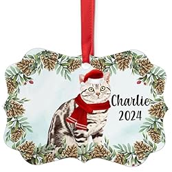 Grey Tabby American Shorthair Cat Christmas