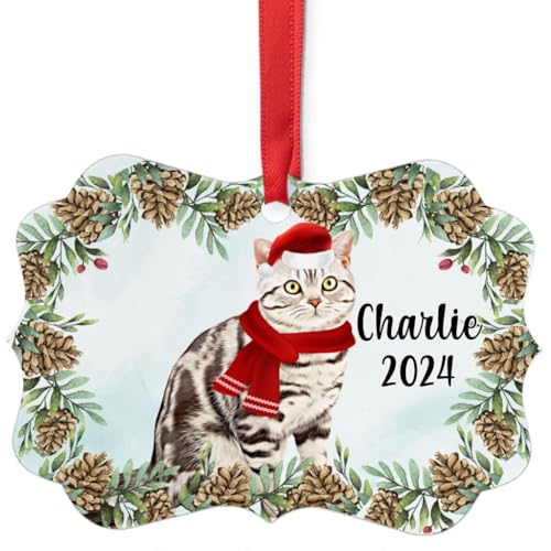 Grey Tabby American Shorthair Cat Christmas