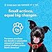 Mylo Dog Anxiety Relief Calming Treats for Dogs - 100% Organic Hemp Oil, L-Tryptophan, Passion Flower, L-Theanine Bites for Separation Aid in Dog Anxiety, Stress, Fireworks & Thunder - 120 Soft Chews