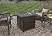 Endless Summer GAD15256SP Gas Outdoor Fire Table LP, Oil Rubbed Bronze