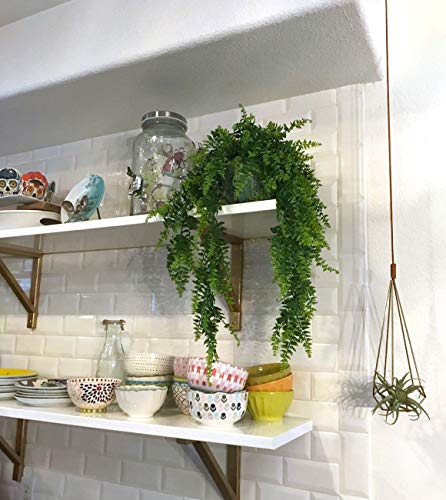 Ollain Artificial Boston Fern Vines Ferns Persian Rattan Greenery Fake Plants Faux Plant Vine Outdoor UV Resistant for Wall Indoor Hanging Garland Backdrop Arch Wall Decor (2Pcs Boston Fern Vines)