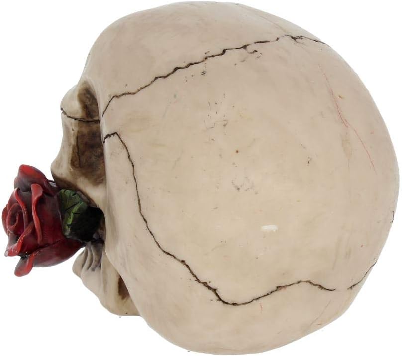 Nemesis Now NEM3721 Rose From the Dead Figurine 13.5cm Ivory, 15cm - Image 5
