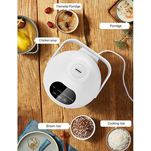 Mishcdea Low Carb Rice Cooker, Digital Programmable Small Rice Cooker