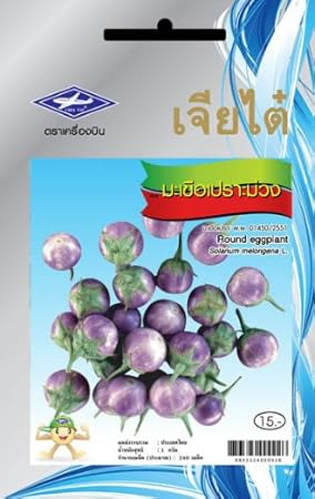 Amazon.com: Púrpura redondo de berenjena semillas (240 ...