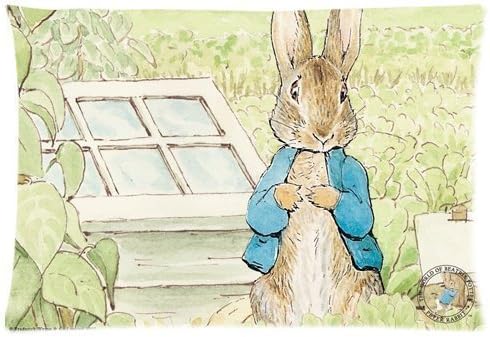 Peter Rabbit Pillowcase Soft Zippered Throw Pillow Cover Cushion Case Covers Fasfion Design Two Sides Printed 20x30 Inches
