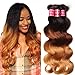 Nadula 8A Grade Brazilian 3 Tone Ombre Color 1B/4/27# Body Wave Hair 3 Bundles Cheap Brazilian Virgin Human Hair Products 100+/-5g/pcs Weave Extensions Natural Color (18 20 22)
