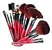 SHANY Professional 12 - Piece Natural Goat and Badger Cosmetic Brush Set with Pouch - Red