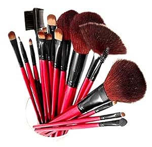 SHANY Professional 12 - Piece Natural Goat and Badger Cosmetic Brush Set with Pouch - Red