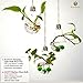 3 Hanging Light Bulb Plant Pot With Strings - Planter Terrarium for Home Refurbishment - Stylish Decor to Purify air - Effortless setup - Ecological miniature garden - Perfect for small house plants