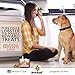 Pure Paw Pure fish & Lobster treats, Brain & Heart Healthy Dog treats