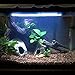 MingDak LED Aquarium Light Kit for Fish Tank,Underwater Submersible Crystal Glass Lights Suitable for Saltwater and Freshwater,30 LEDs,11-inch,Lighting Color White