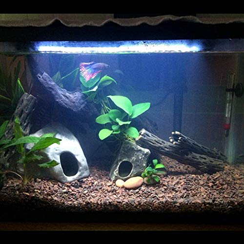 5 underwater+Submersible+Saltwater+Freshwater+14+5+inch