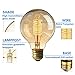 KINGSO Vintage Edison Bulb 60W Incandescent Antique Dimmable Light Bulb Dimmable for Home Light Fixtures Squirrel Cage Filament E27 Base G80 110V (2 Pack)