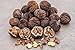 NEW Missouri Harvest 2017 Fresh Whole Black Walnuts 1 Pound In Shell Organic Perfect Squirrel Food - Black Walnut Tree Seeds - Juglans Nigra - Baking