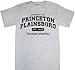 Fox House M.D. Property of Princeton Plainsboro Gray T-Shirt Tee