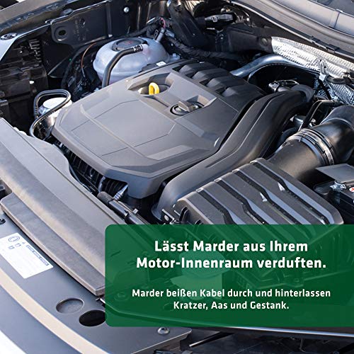 GARDIGO® Marderspray - Marderschreck für Auto, Dachboden, Garten | 500ml mit Eukalyptus-Citriodora Ãl | Marderabwehr Auto zum Marder vertreiben | Abwehrspray gegen Marder im KFZ | Made in Germany – Bild 4