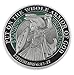 Forge Put On The Whole Armor of God EPH 6:13-17 Enamel 3D Challenge Coins (Antique Silver (1 Coin))