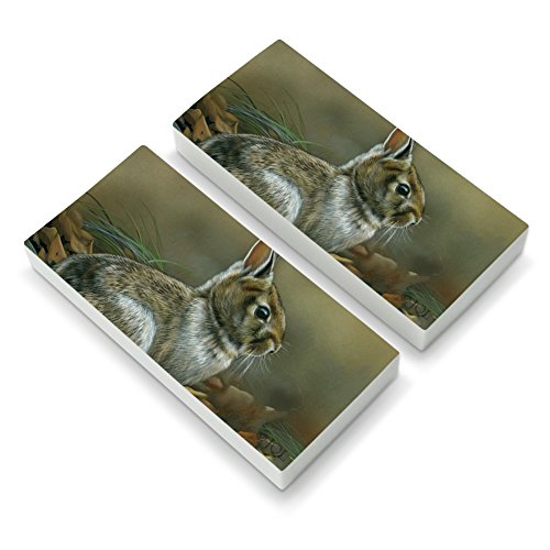Cottontail Rabbit Bunny Eraser Set of 2