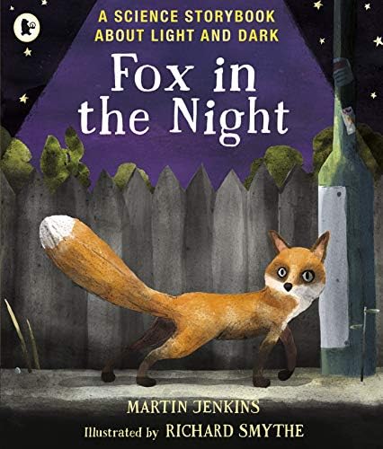 Fox in the Night: A Science Storybook About Light and Dark (Science Storybooks)