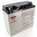 Yuasa NP18-12B 12V/17.2AH SLA Battery with NB Terminal