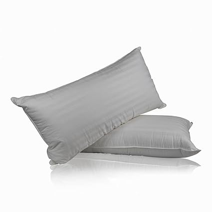 Set Of 2 Superior 100 Down Pillows 700 Fill Power 32oz