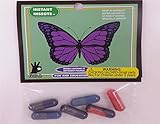 Toysmith - Instant Insects 6 Capsules (3361)