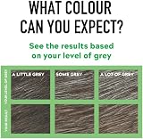 Just For Men Original Formula Dark Brown Black Hair Dye H45 view 6