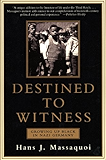 Destined to Witness: Growing Up Black In Nazi Germany