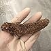 GOLDENSEA-Natural Sun Dried Alaska Red Sea Cucumber 金海堂-野生淡干海参, 阿拉斯加野生红刺参(Medium Size)1lb, Grade AAAA