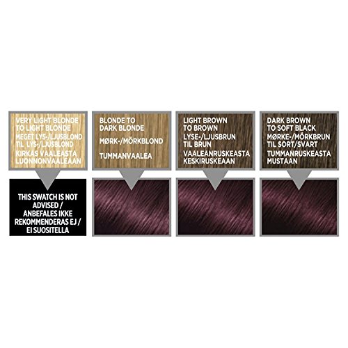 L'Oréal Colorista Paint Violet Permanent Hair Dye Buy Online in United