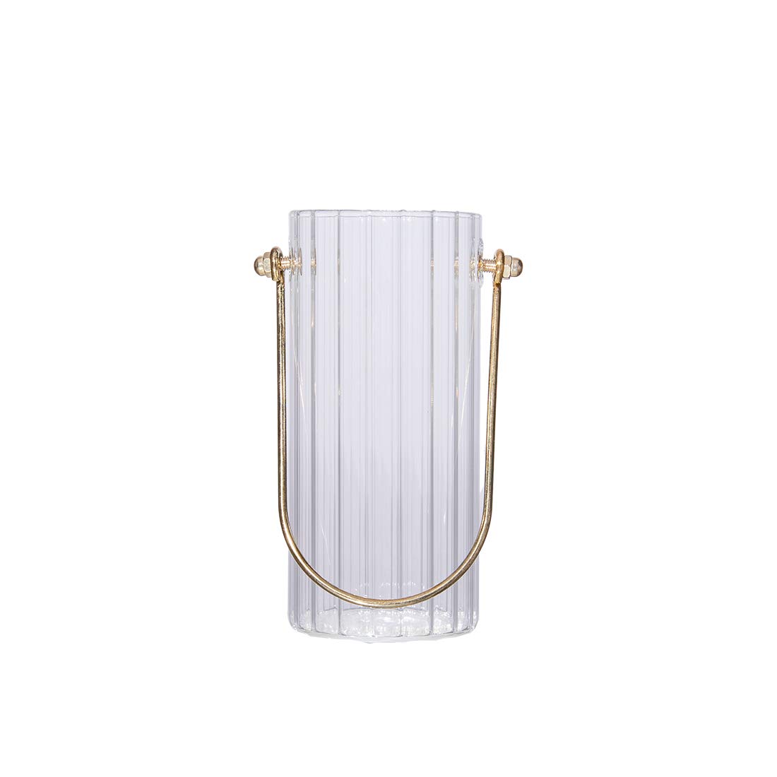 C&Z Glass Flower Vases Portable Plant Container Cylindrical Shaped with Handle for Table Decor Wall Hanging Wedding Party Birthday Large