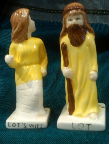 Image result for lots wife salt