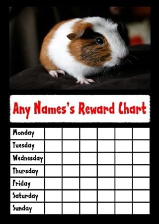 Guinea Pig Chore Chart