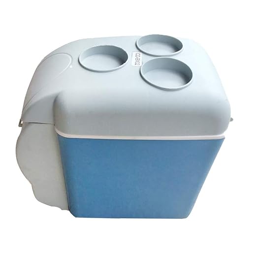 weyb Refrigerador pequeño portátil Mini del Frigorífico Coche ...