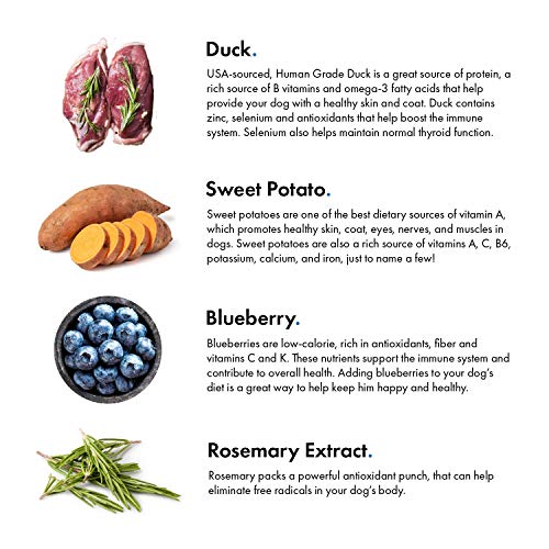 Pet Jerky Factory Premium Dog Treats 100 Human Grade USA Made