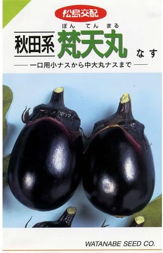 Amazon なす 種 秋田系梵天丸 種子 小袋 約1 1ml 野菜