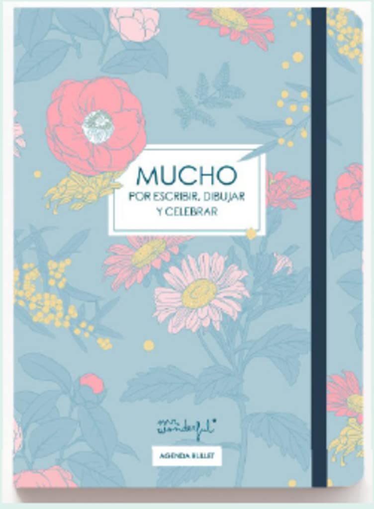 Bullet Diary - Much to Write, Draw and Celebrate