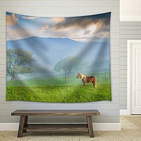 Horse Grazing on a Meadow in a Ukrainian Mountain Valley. Early Misty Morning - Fabric Wall Tapestry Home Decor - 51x60 inches