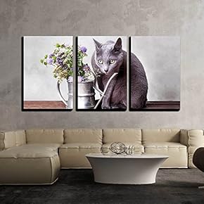 3 Piece Canvas Wall Art - Cat with Flowers in Old Decorative Watering Can - Modern Home Art Stretched and Framed Ready to Hang - 16"x24"x3 Panels