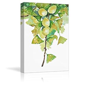 Green Gingko Leaves and Fruits Watercolor Painting Style Art Reproduction